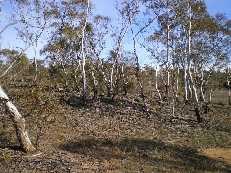 Lot 3 Towrang Rd, Cooma NSW 2630