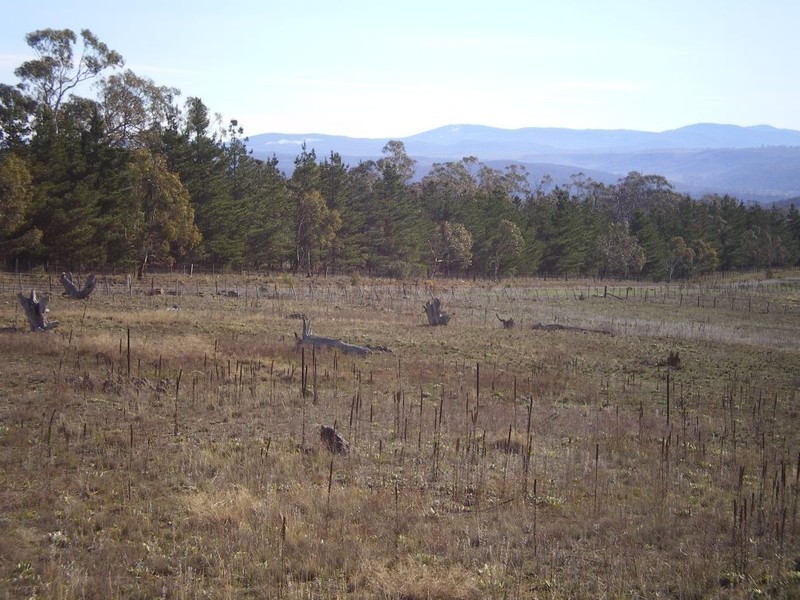 Lot 3 Towrang Rd, Cooma NSW 2630