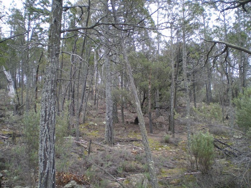 Lot 3 Scotts Rd, Cooma NSW 2630