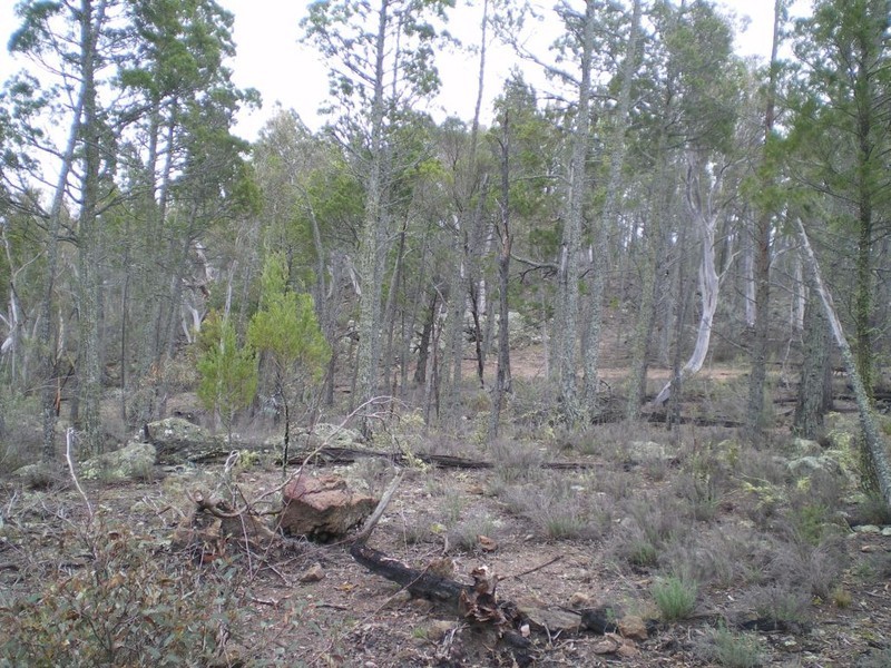 Lot 3 Scotts Rd, Cooma NSW 2630