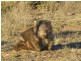2145 Shannons Flat Rd, Cooma NSW 2630