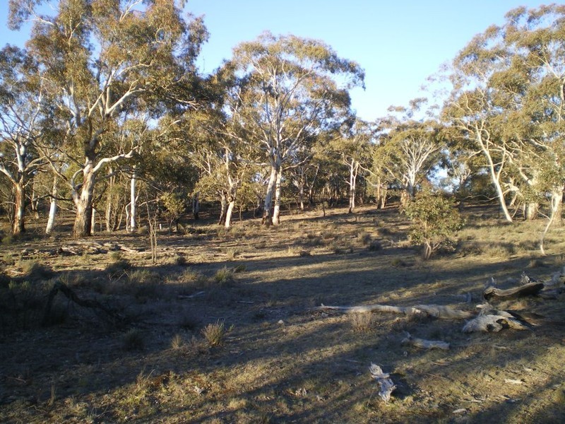 2145 Shannons Flat Rd, Cooma NSW 2630