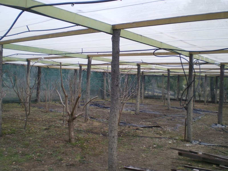 959 Beresford Rd, Cooma NSW 2630