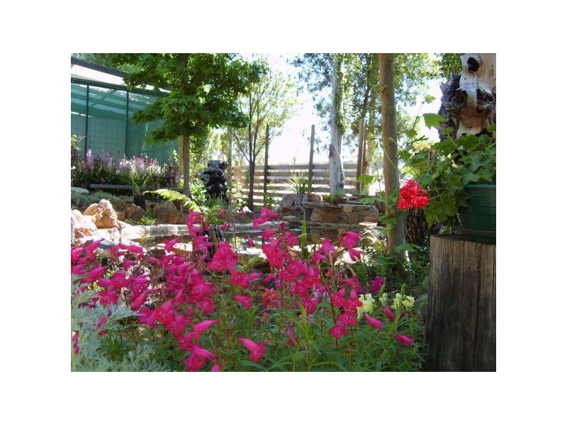 959 Beresford Rd, Cooma NSW 2630