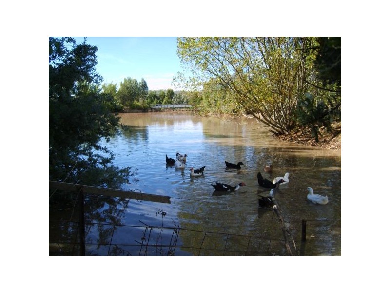 959 Beresford Rd, Cooma NSW 2630