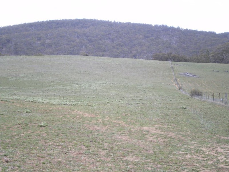 Lot 4 Ironmongy Rd, Dalgety NSW 2628