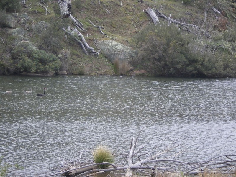 Lot 4 Ironmongy Rd, Dalgety NSW 2628