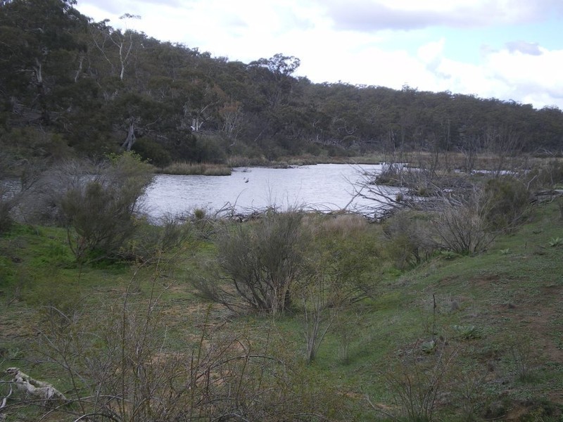 Lot 4 Ironmongy Rd, Dalgety NSW 2628