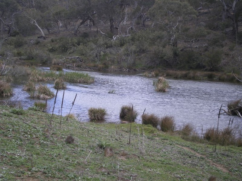 Lot 4 Ironmongy Rd, Dalgety NSW 2628