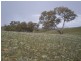 Lot 4 Ironmongy Rd, Dalgety NSW 2628