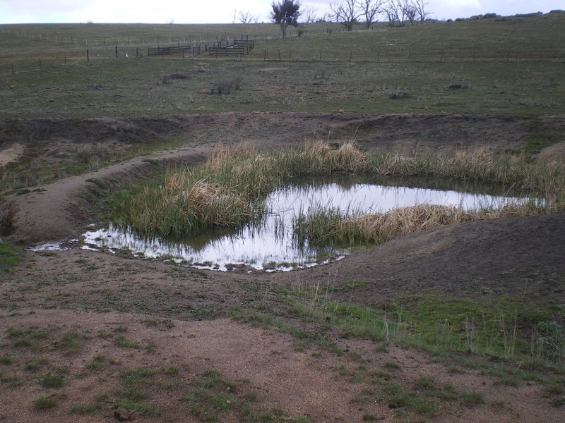 Lot 4 Ironmongy Rd, Dalgety NSW 2628