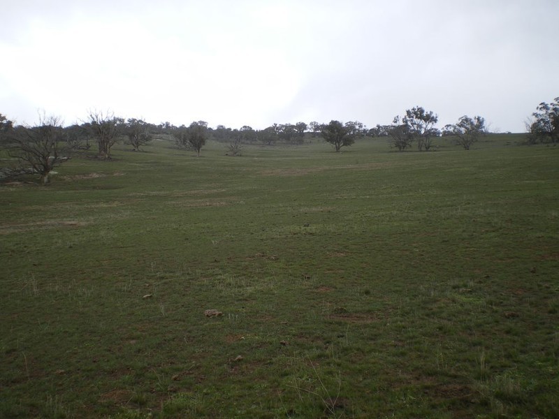 Lot 4 Ironmongy Rd, Dalgety NSW 2628