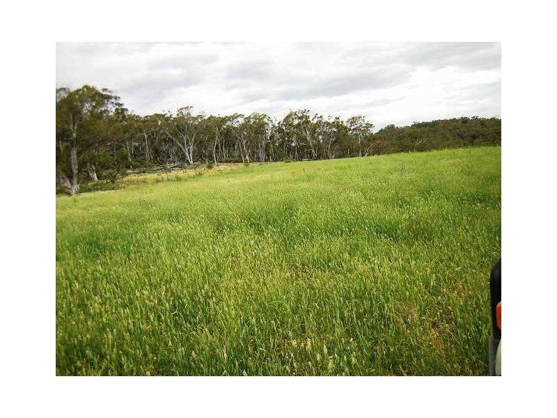 lot 4 Jones Plain Rd, Cooma NSW 2630