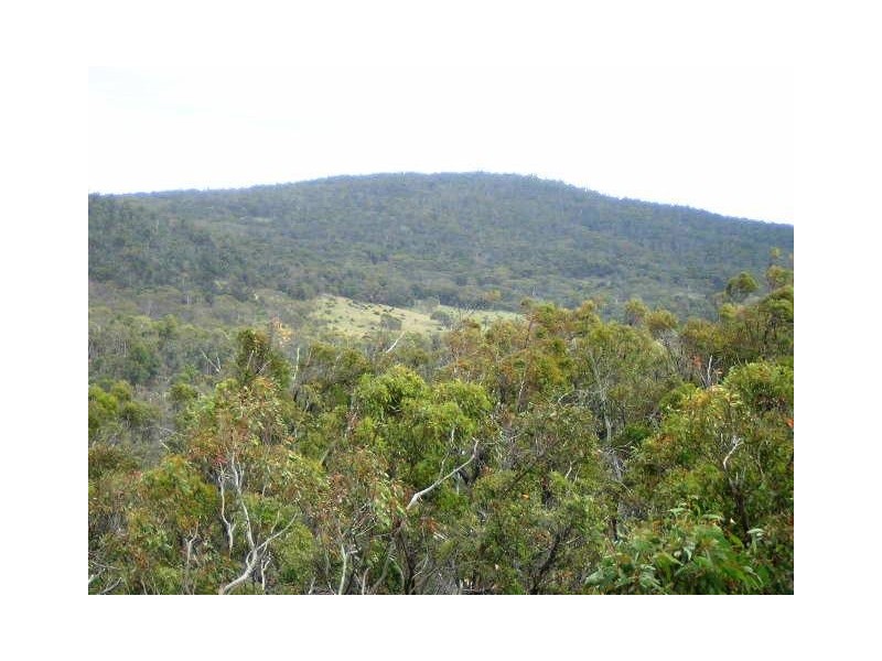 lot 4 Jones Plain Rd, Cooma NSW 2630