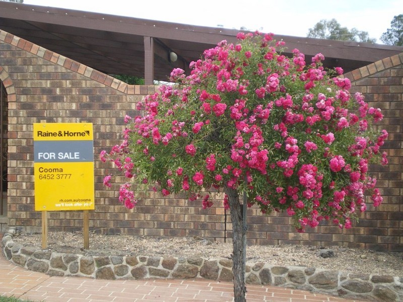 42 Tulong Av, Cooma NSW 2630