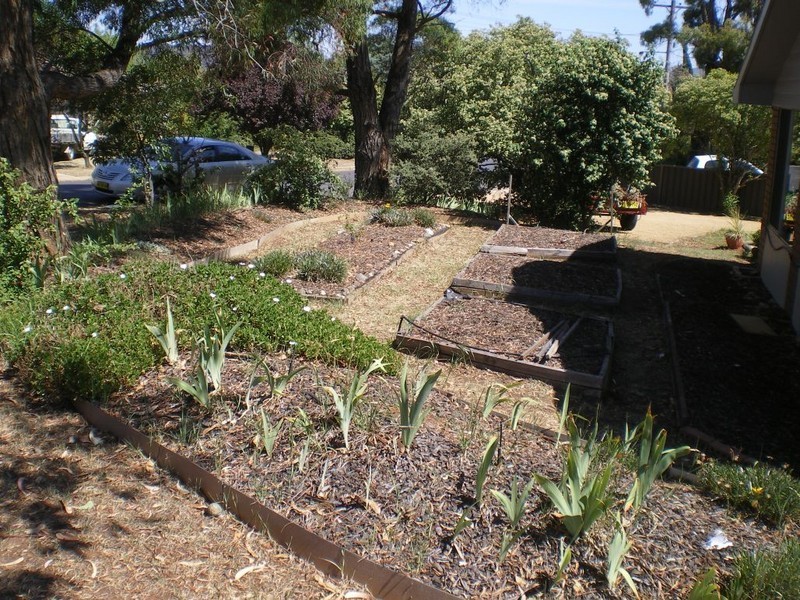 4 Woolalla St, Cooma NSW 2630