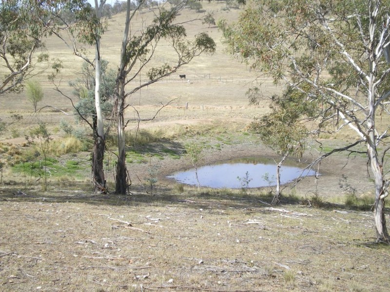 388 Collins Rd, Numeralla NSW 2630