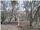 388 Collins Rd, Numeralla NSW 2630