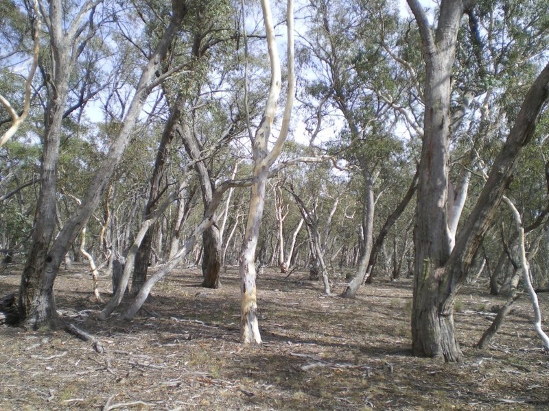 388 Collins Rd, Numeralla NSW 2630
