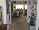 388 Collins Rd, Numeralla NSW 2630