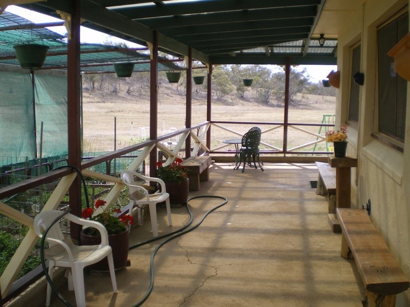 388 Collins Rd, Numeralla NSW 2630