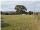 37 Iris St, Bombala NSW 2632