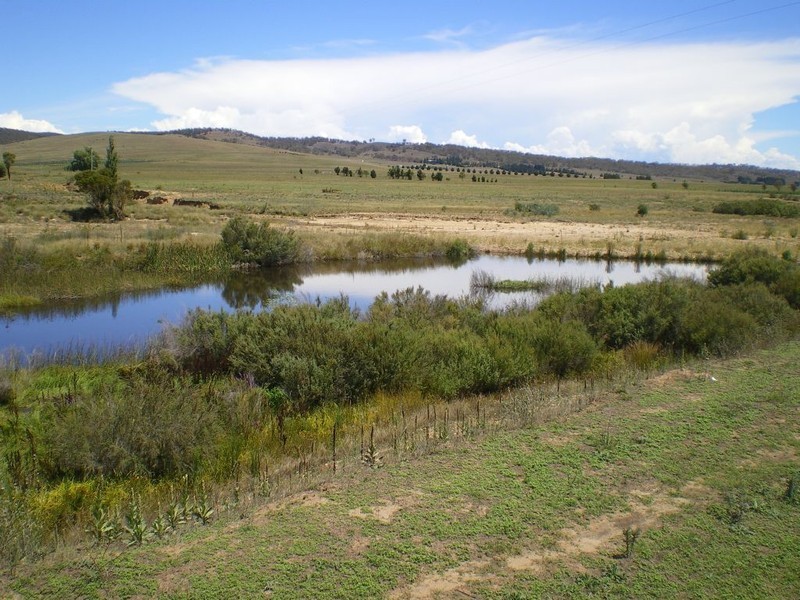 117 Lowanna Way, Rose Valley NSW 2630