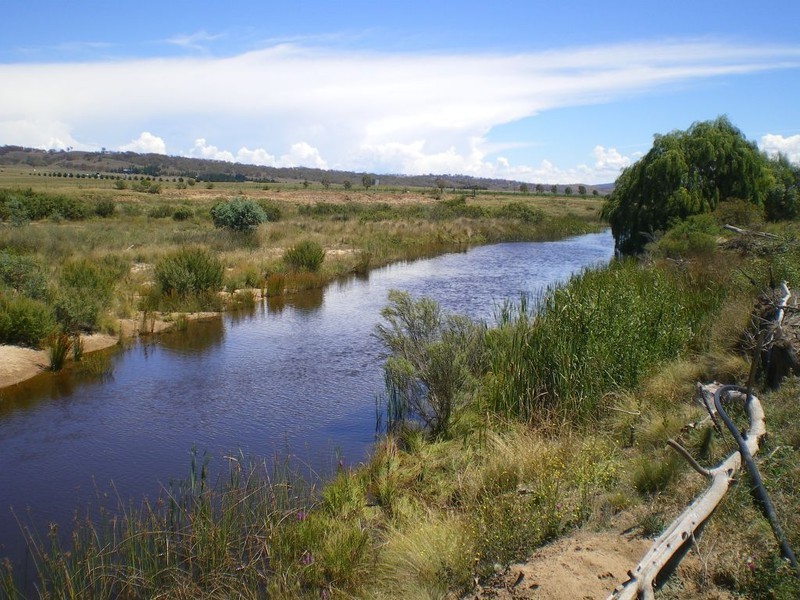 117 Lowanna Way, Rose Valley NSW 2630