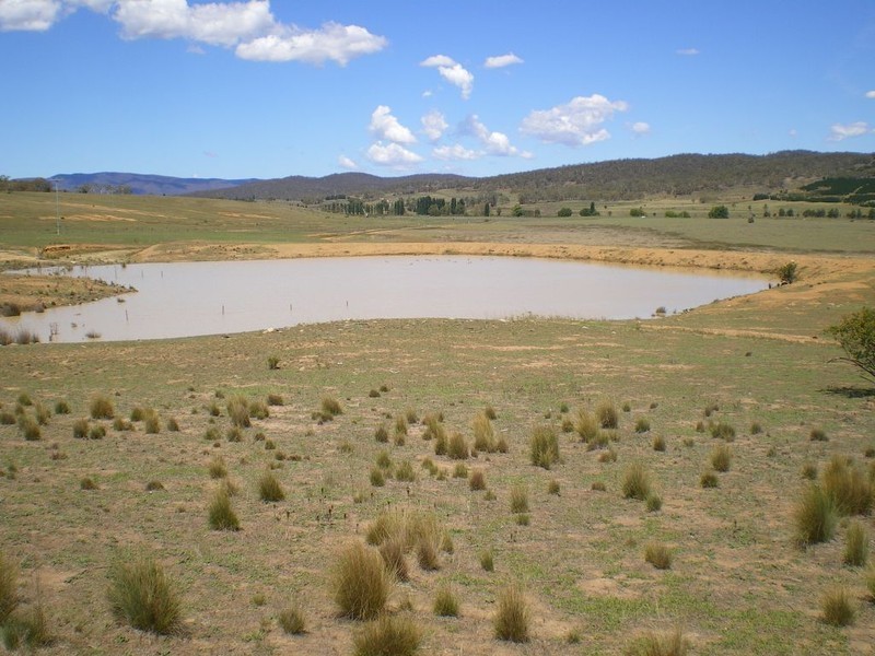 117 Lowanna Way, Rose Valley NSW 2630