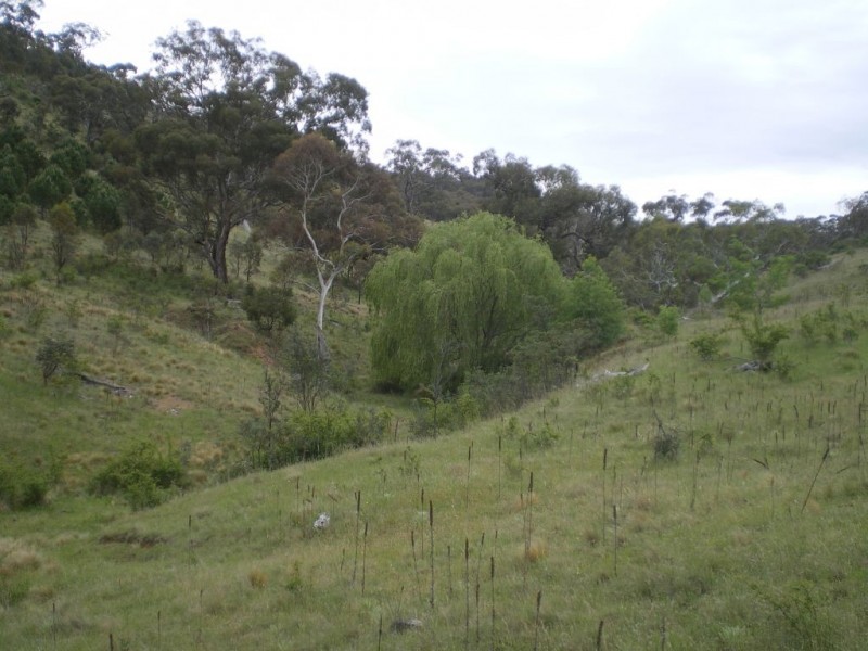 351 Jerangle Road, Bredbo NSW 2626