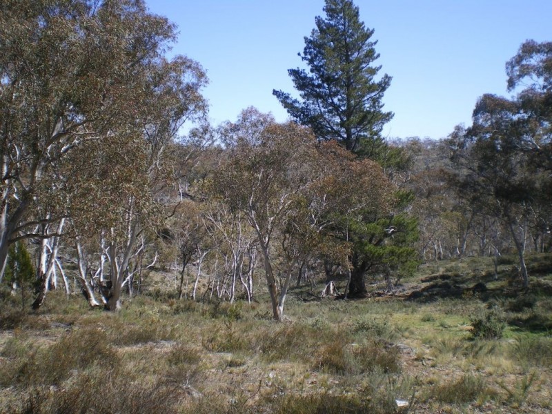 17 Coventry Close, Cooma NSW 2630