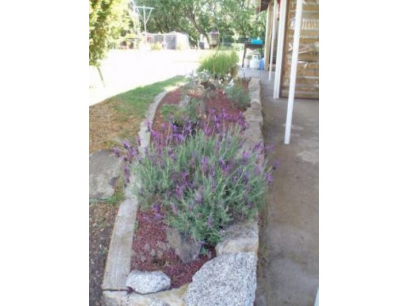 21 North Boyd Street, Nimmitabel NSW 2631