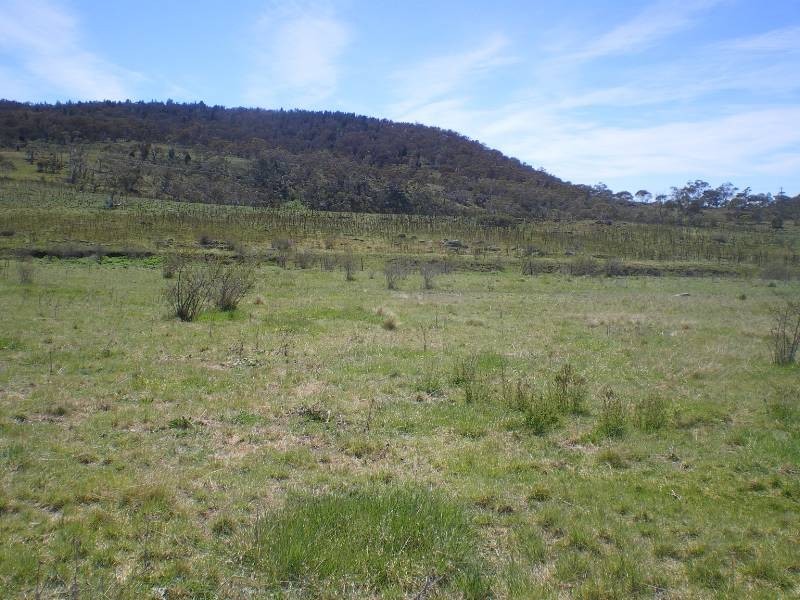 13 Eddie Place, Cooma NSW 2630