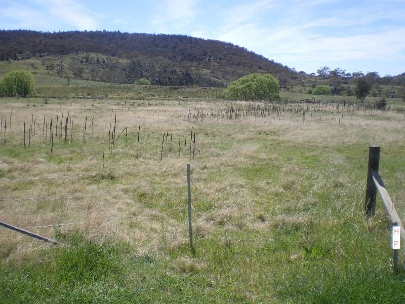 13 Eddie Place, Cooma NSW 2630
