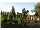 1 Hamilton st, Dalgety NSW 2628