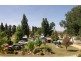 1 Hamilton st, Dalgety NSW 2628
