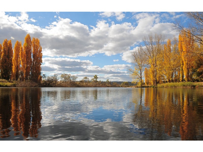 1 Hamilton st, Dalgety NSW 2628