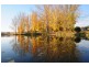 1 Hamilton st, Dalgety NSW 2628