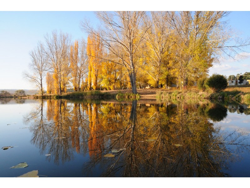 1 Hamilton st, Dalgety NSW 2628