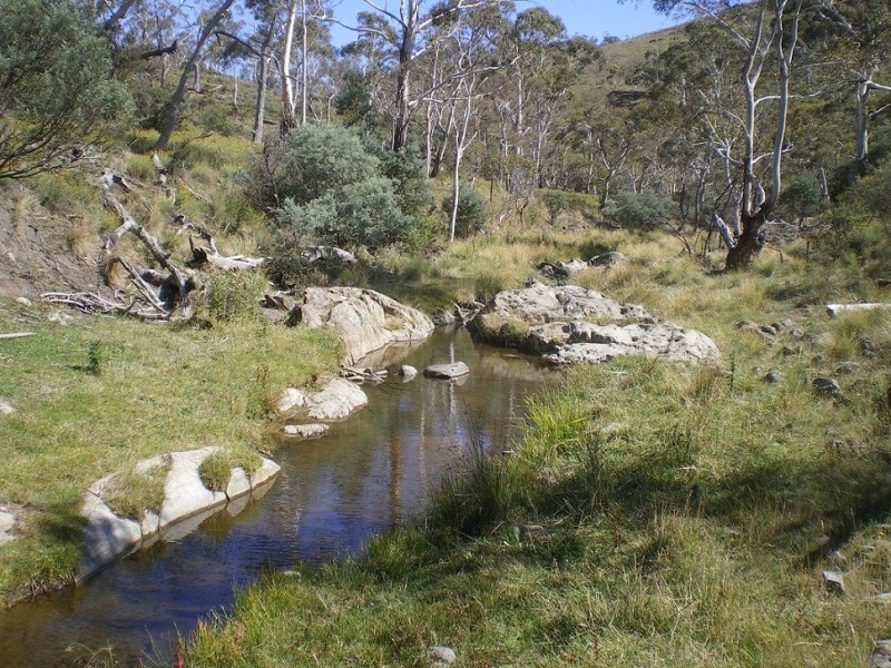 lot 160 Dry Plains Rd, Cooma NSW 2630