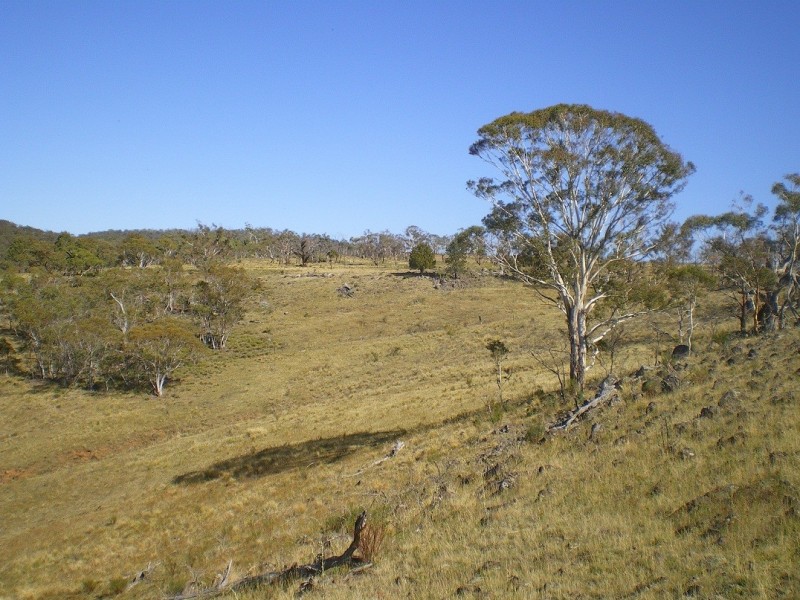 lot 160 Dry Plains Rd, Cooma NSW 2630