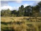 3670 Badja Rd, Countegany NSW 2630