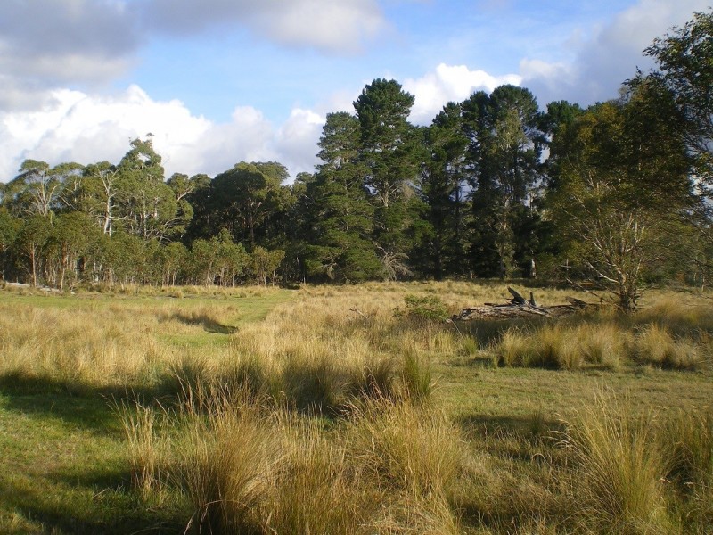 3670 Badja Rd, Countegany NSW 2630