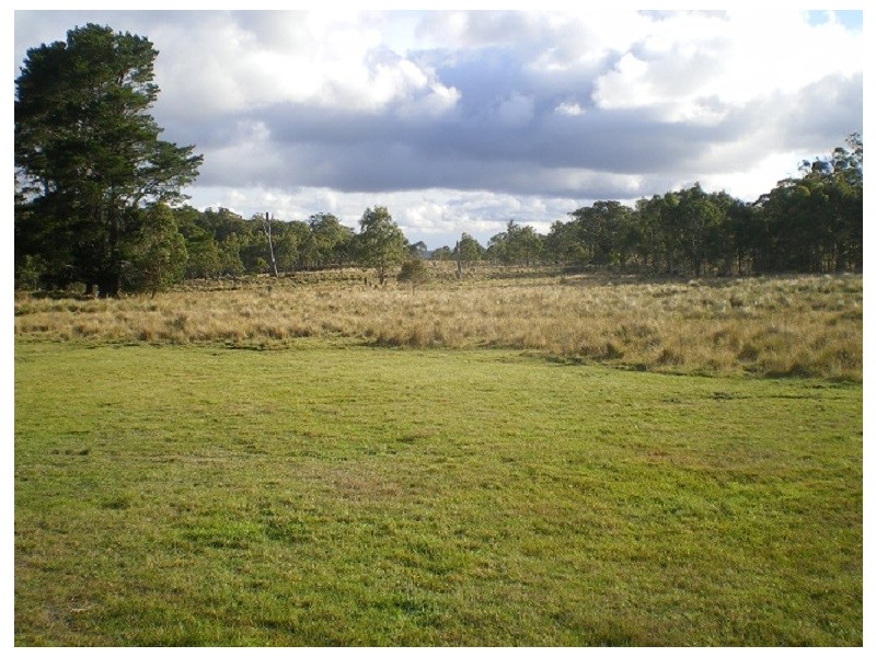 3670 Badja Rd, Countegany NSW 2630