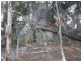 3670 Badja Rd, Countegany NSW 2630