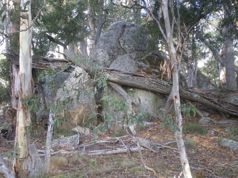 3670 Badja Rd, Countegany NSW 2630
