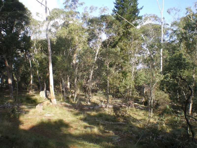 3670 Badja Rd, Countegany NSW 2630