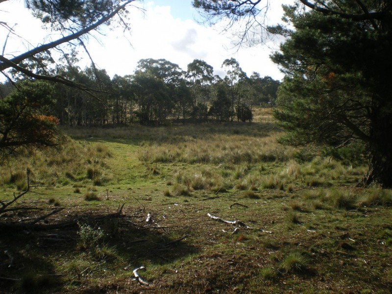 3670 Badja Rd, Countegany NSW 2630