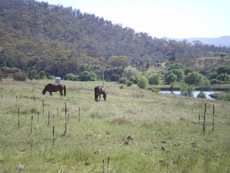 51 Snowy Creek Ave, Cooma NSW 2630