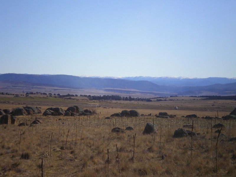 8 Blomfield St., Dalgety NSW 2628